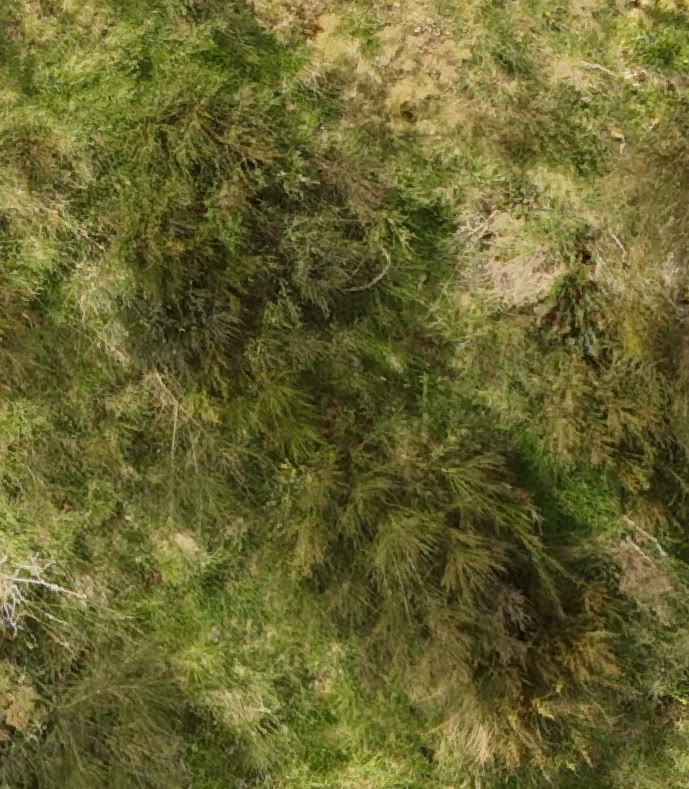 Broom visible in reconstructed aerial imagery